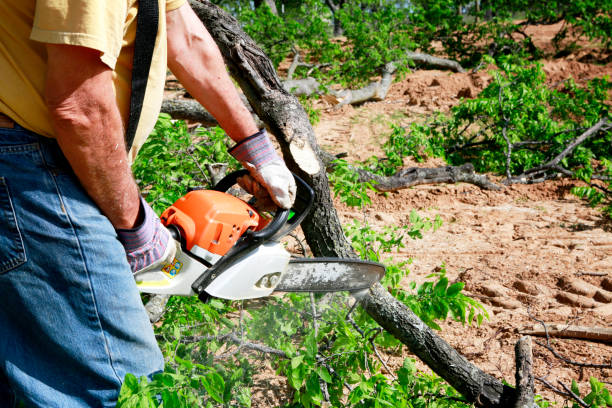 Best Weed Control  in Pardeeville, WI